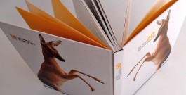 Studio Weber Design . Espasingen . Germany . design first . portfolio